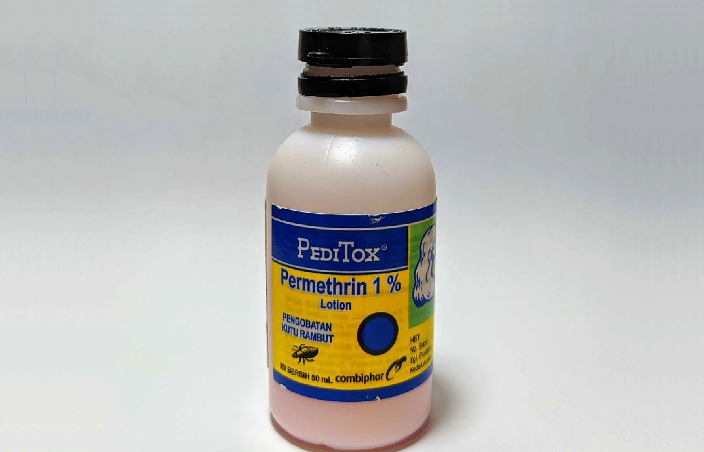 BEST HOME REMEDIES FOR LICE HOW TO TREAT LICE AT HOME LiceDoctors